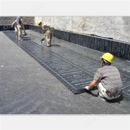 天津红桥防水工程 防水公司 承接屋面屋顶防水 外墙防水