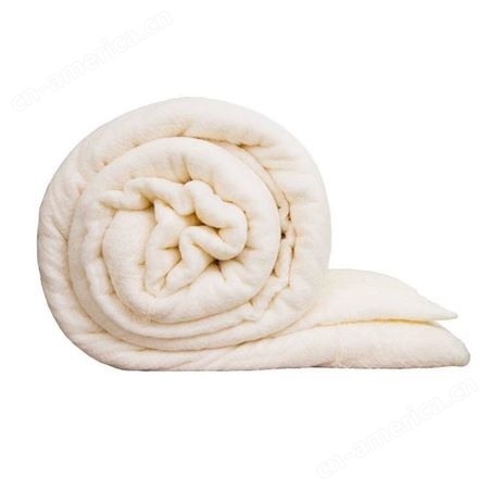 定制棉被棉胎 宿舍纯棉花被子 加厚保温单人棉被芯 量大从优