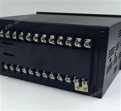 XSM/C-H1GT2A1B1S0V0速度监控显示仪 电源220V 5位LED显示 4-20mA