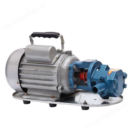 WCB-100油冷机泵-液压油泵-榨油机泵-全自动离心分离机渣油泵