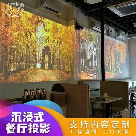 全息光影餐厅3D5D投影 酒楼饭店火锅店引流设备 室内室外场地景观亮化