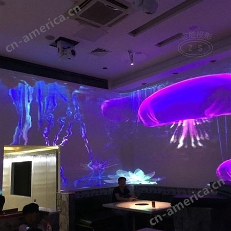 餐厅沉浸式投影 人气引流投影设备 3D光影餐厅