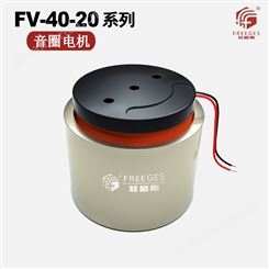 FV-40-20微型音圈电机 音圈马达平台直驱模组电机