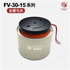 FV-30-15微型音圈电机 为什么叫音圈电机 直驱模组电机