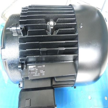 布幔brinkmann泵STA1006/610