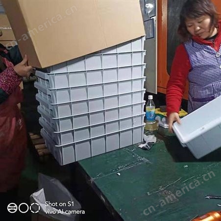 注塑模具上海一东工厂订制PP透明筐设计周转箱制造开模注塑成型塑料模具收纳箱开发