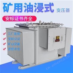 KS13-100KVA油浸式矿用变压器10KV/0.4KV铜矿 铁矿用电力变压器KY