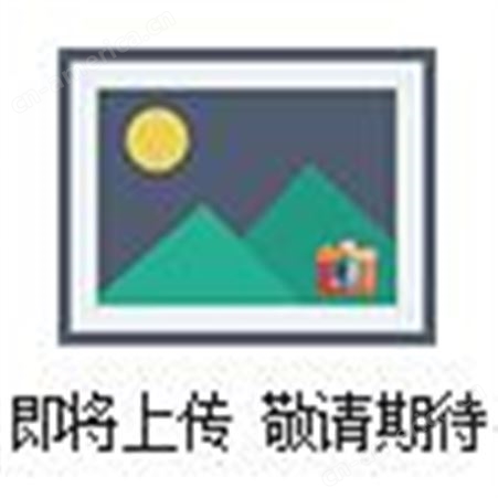 中国台湾衡欣AZ-9802温湿度记录仪打印机