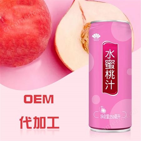 名启 葡萄汁饮料水果风味饮料2罐装果味果饮 OEM贴牌代加工