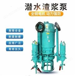 渣浆泵污水处理设备 洗煤矿浆输送 潜水型泥浆泵 潜渣泵