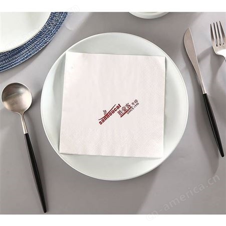 gz-78商用餐巾纸定制印logo 宣传方巾纸定做印刷