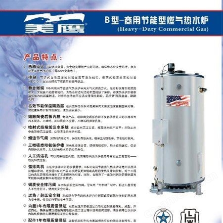 美鹰燃气热水炉99kw 低氮环保节能进口容积式热水器 厂家代理