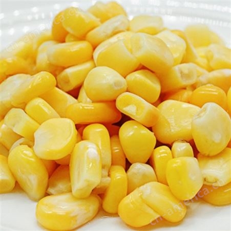 价格低的速冻甜玉米厂家大量供应速冻甜玉米粒食品