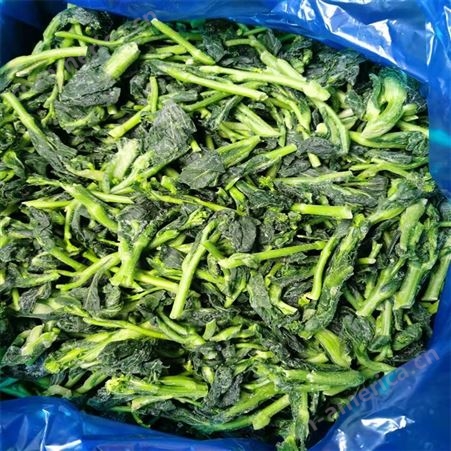 绿拓供应优质农家脱水菠菜 速冻蔬菜干食用方便