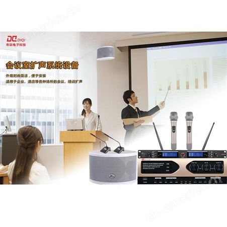 帝琪无线扩声系统报价安装会议系统方案设备一拖二无线领夹话筒DI-3800