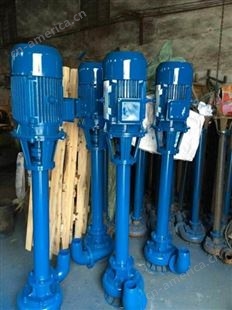 NL系列进口污水泥浆泵 美国BOYD博伊德