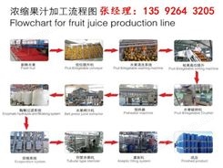 全自动山楂汁饮料设备年产500吨整套山楂深加工设备生产厂家