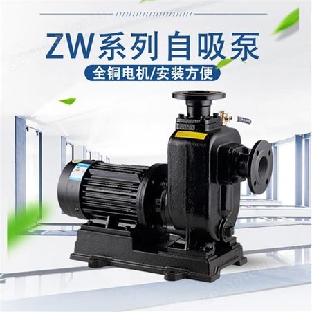 ZW型自吸排污泵厂家销售 质量可靠 无堵塞自吸排污泵 适用于市政排污工程