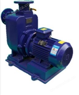 ZW型自吸排污泵厂家销售 质量可靠 无堵塞自吸排污泵 适用于市政排污工程