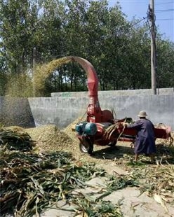 现货出售 小型铡草机 玉米秸秆碎草机 农作物秸秆揉丝机