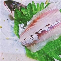 冷冻香鱼高级食材 淡水香鱼铁板烧 香鱼片海鲜冰鲜香鱼