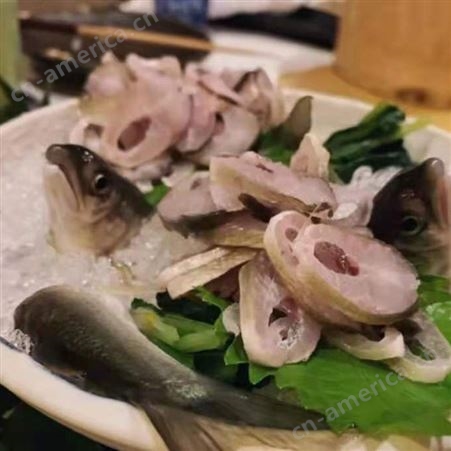 淡水香鱼日本料理原料 香鱼居酒屋 水产特产香鱼冷鲜冷冻香鱼