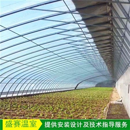 蔬菜大棚种植 樱桃种植大棚材料 淮北市钢架大棚骨架