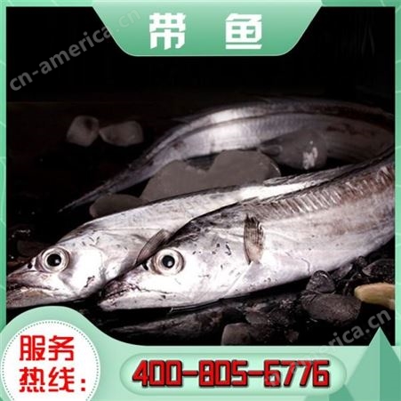 嘉汇荣 东海带鱼 进口带鱼段 海鲜批发