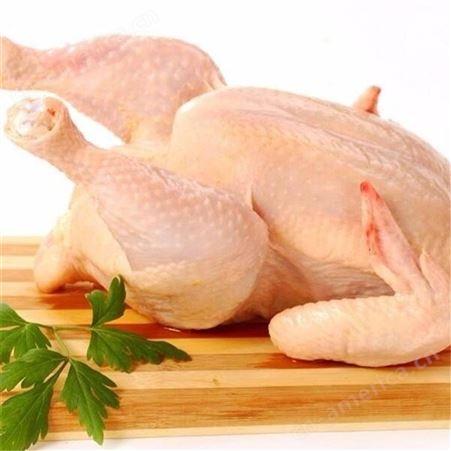 肉鸡食品加工厂家      鸡肉鲜品销售价格     信生牧业    肉鸡价格
