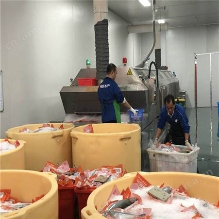 安徽龙眼液氮保鲜设备 食品速冻机制造商