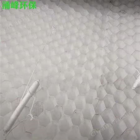 内江白色塑料斜管填料 批发定制 给水净化蜂窝斜管