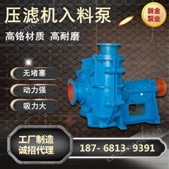 SJE压滤机入料泵-杭州压滤机入料泵厂家-压滤机专用泵入料泵-磐金泵业