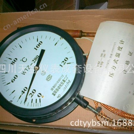 富阳自动化压力式指针温度计WTZ-180 280 288