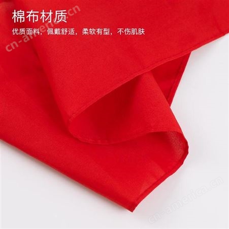 迅想 小学生红领巾 少先队员标准款1.2米红领巾 成人学生用品 布质柔软不易皱国标红领巾 2条装0777