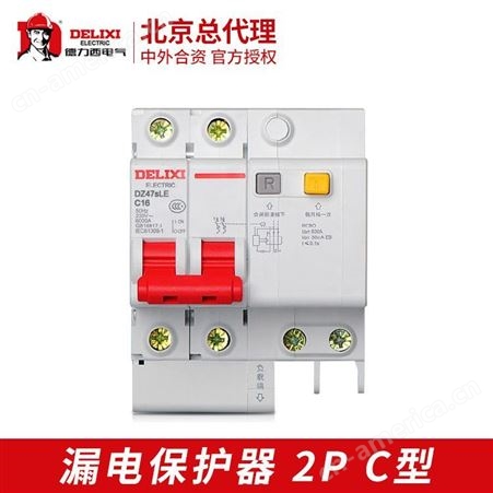 漏电保护器DZ47sLE-63 2P C型微型断路器空气开关漏电保护器德力西电气批发零售