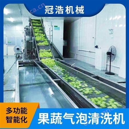 冠浩厂家现货 商用圣女果果蔬气泡清洗机 果蔬家用农残食材净加工设备