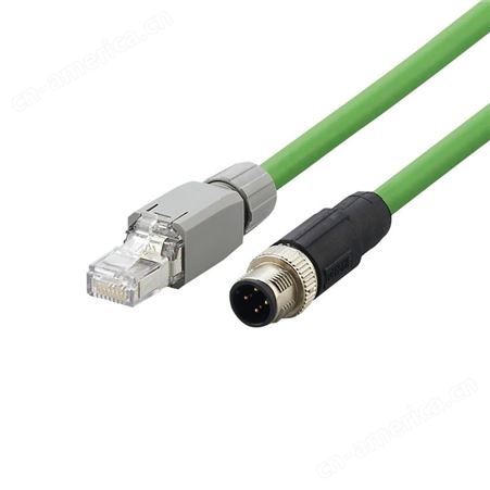 IFM/易福门 连接电缆 E12506