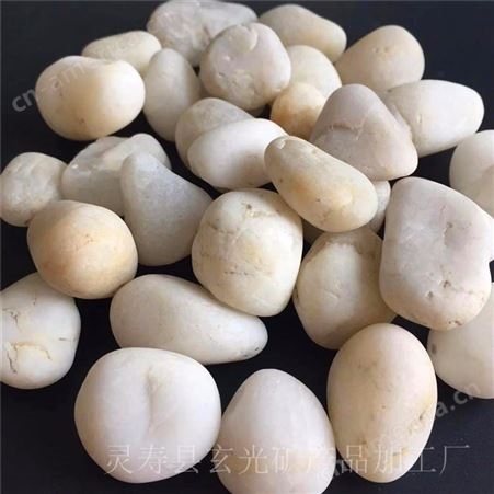 河北雨花石价格 天津白色鹅卵石 玄光生产园艺机制石 白色石材石料